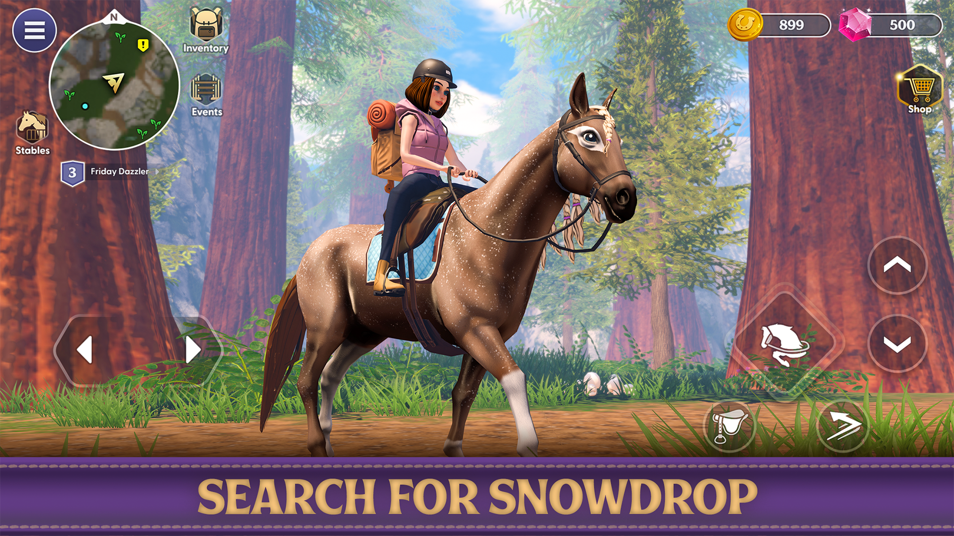 Hình ảnh game Star Equestrian - Horse Ranch